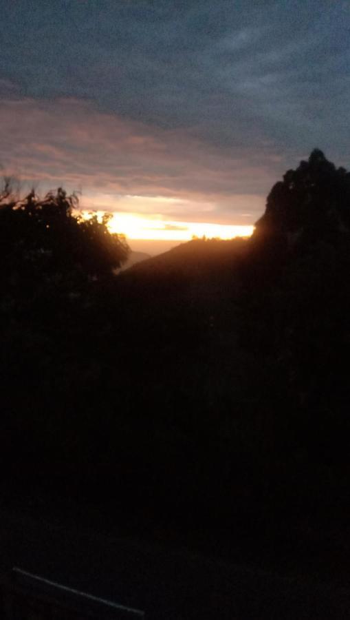 Saveen View Procida Dış mekan fotoğraf
